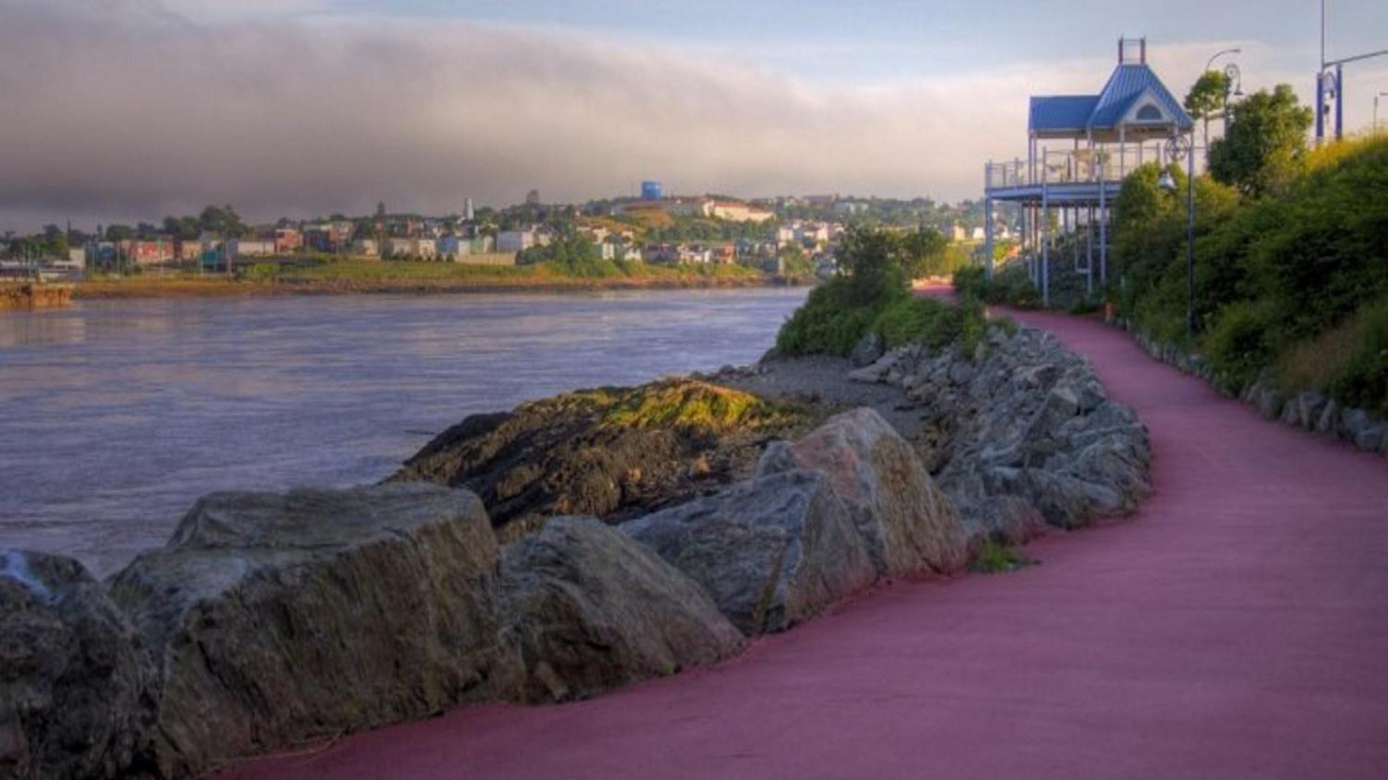 Holiday Inn Express Hotel & Suites Saint John Harbour Side By Ihg Exterior foto